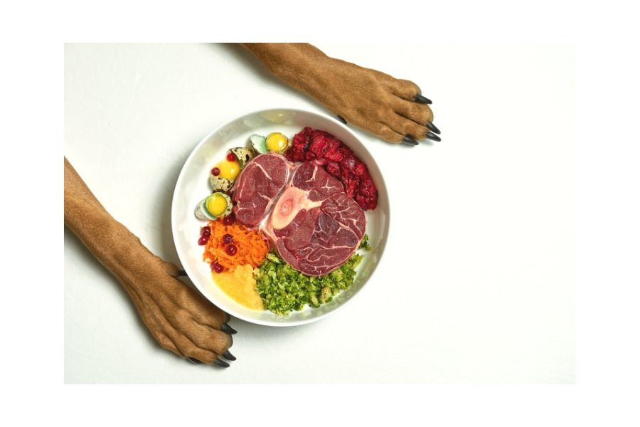 Raw Diet for Dogs Is It Worth the Hype? Sniff & Bark