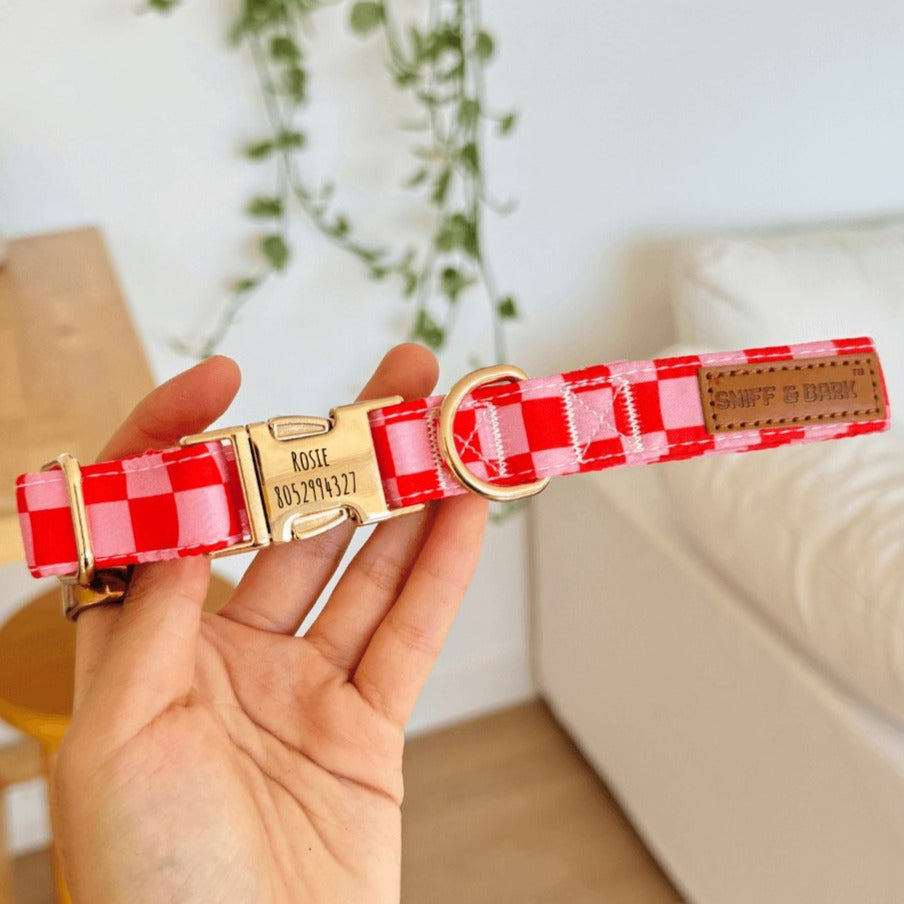 Cute & Super Safe Hardware Buckle Collar with Name for Dogs