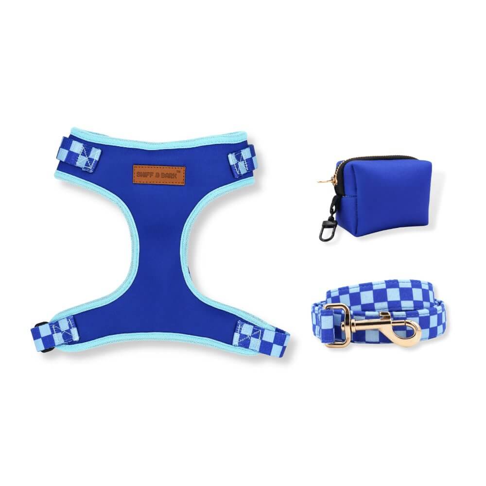Matching harness and leash discount