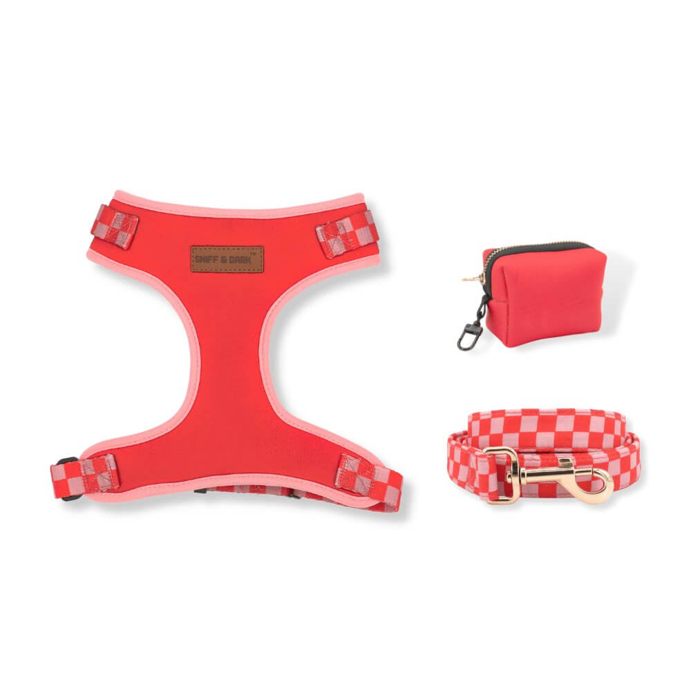 Cute dog harness and leash 2025