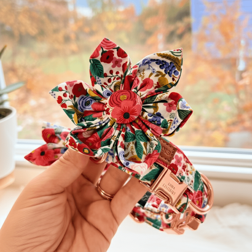 20 Stück Halsband-Blumen Mit Perlen – Bunte Schleifen & Charms Für Hund & Katze