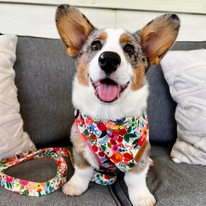 Morning Floral AllSet™ Harness Matching Bundle