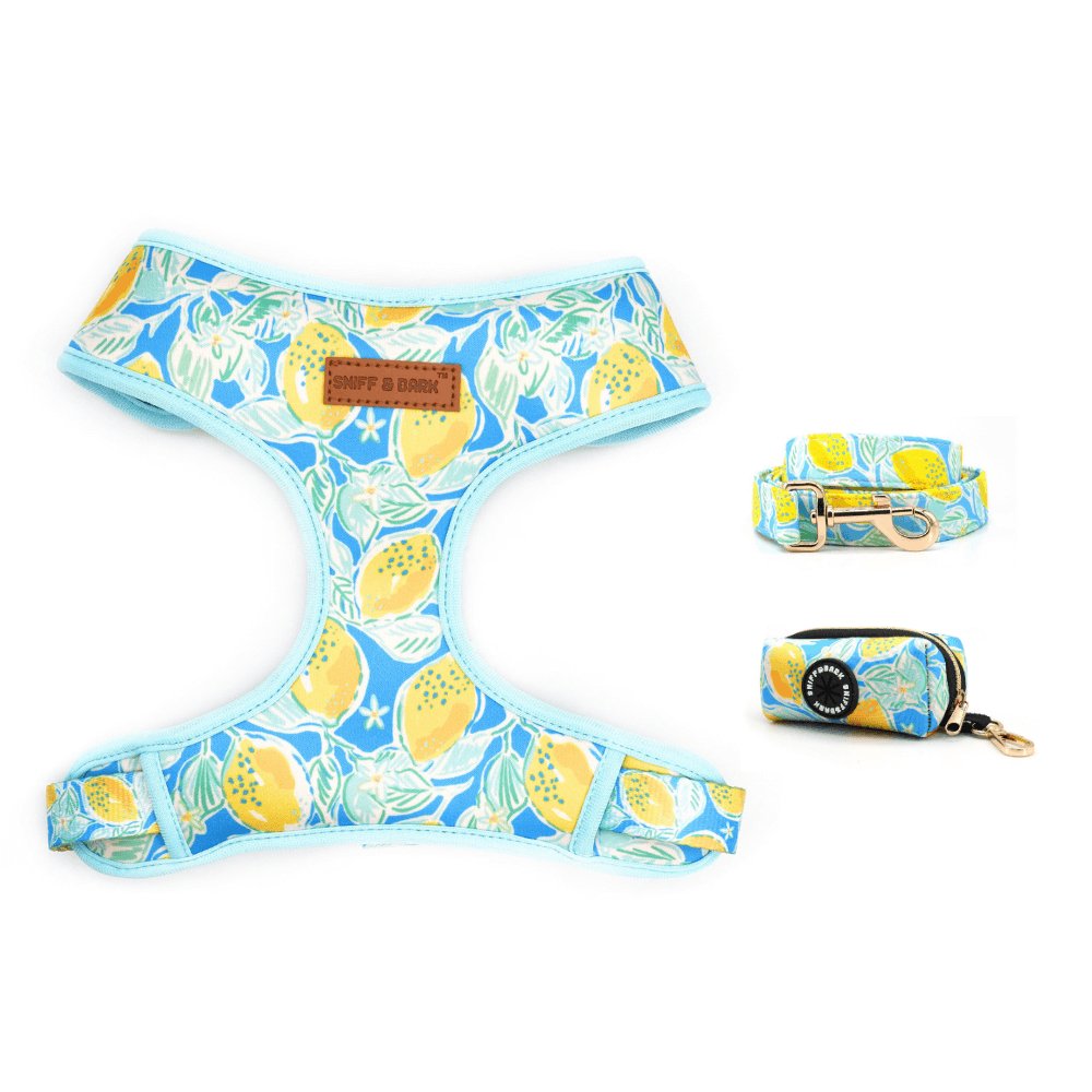 Safe Adorable Dog Lockable Harness™, Unbreakable Leash™, And