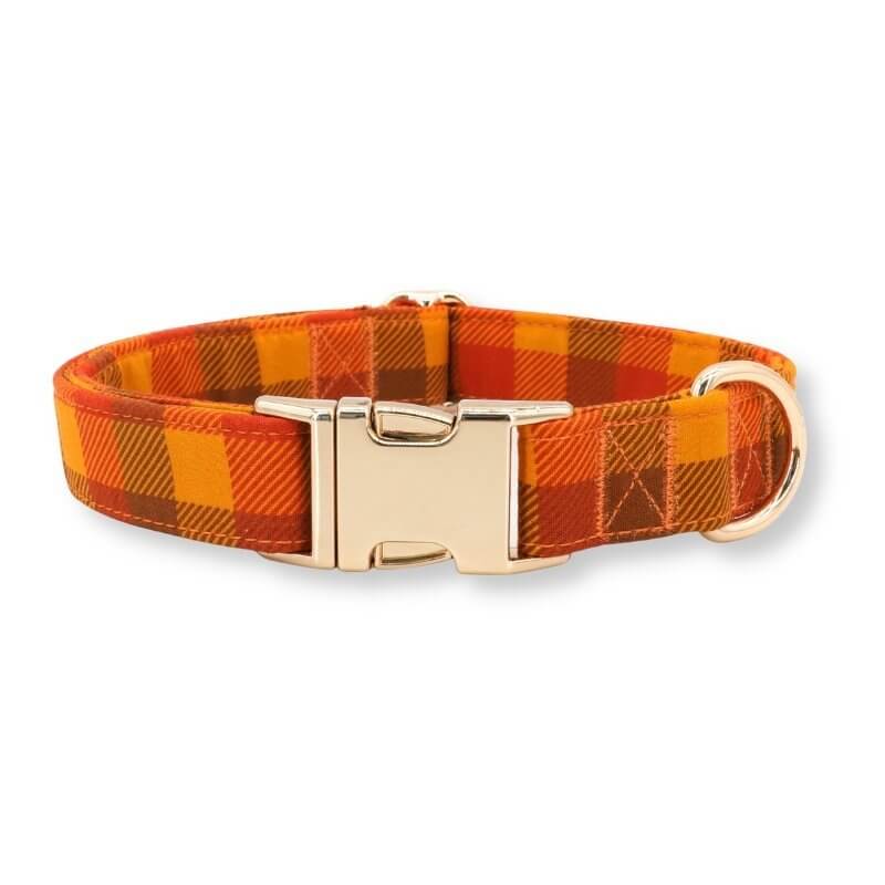 Cute personalized dog collars top