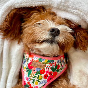 Morning Floral AllSet™ Harness – Adjustable Bliss