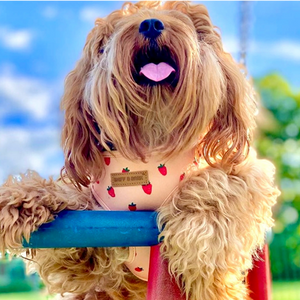 Rosie Strawberry AllSet™ Harness – Adjustable Bliss