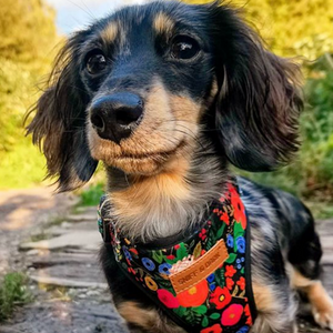 Midnight Floral AllSet™ Harness – Adjustable Bliss