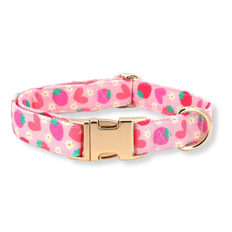 Cute designer customized best dog collar for girls and boys