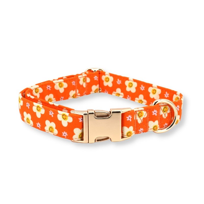Cute designer customized best dog collar for girls and boys