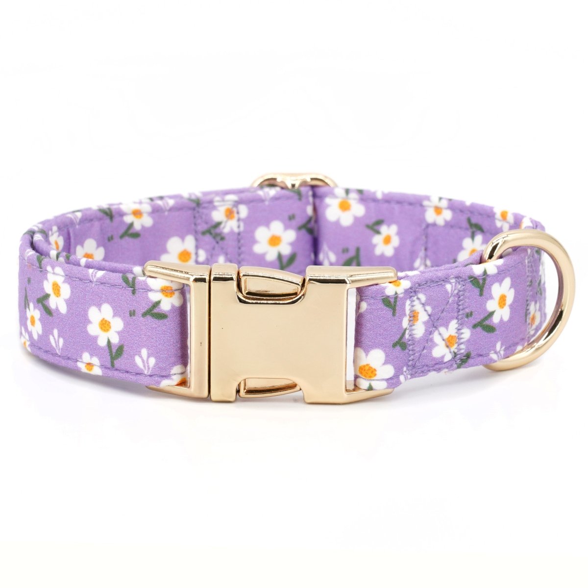 Cute & Super Safe Hardware Buckle Collar with Name for Dogs