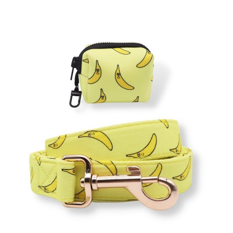 Cute Safe Dog Lead and Waste Bag Dispenser. Strong Lead Attachment In Many Adorable Designs Sniff Bark