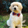 dog bow tie collar large - luxury dog collars for boys and girls
