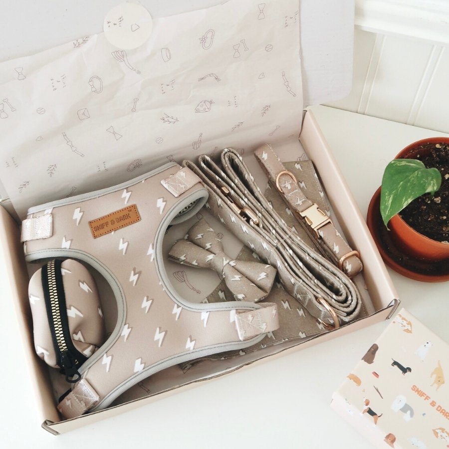 Safe & Cute Matching Dog Unbreakable Collar™ and Leash