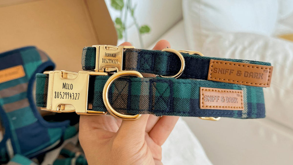 Designer Dog Collar