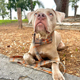 Maple Plaid Bow Dappertie™ - Mega Bundle Match (D Ring)