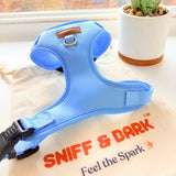 Baby Blue AllSet™ Harness – Adjustable Bliss (D Ring)