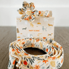 A floral-patterned dog collar and leash with a flower-shaped accessory, along with a box labeled "SNIFF & DARK" featuring various dog breeds.