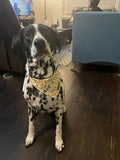 Yellow Floral Flairtie™ Bandana – 100% Cotton
