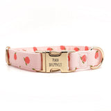 Peach Blush Signature Band™ - Crafted Collar