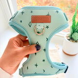 Teal Stars Dappertie™ - Mega Bundle Match (D Ring)