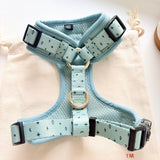 Teal Stars AllSet™ Harness – Adjustable Bliss (D Ring)