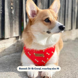 Coral Fetch AllSet™ Harness – Adjustable Bliss (D Ring)