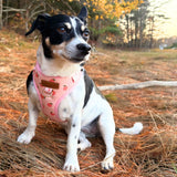 Peach Blush AllSet™ Harness – Adjustable Bliss (D Ring)