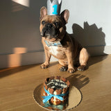 Blue Teddy Plaid Dappertie™ - Mega Bundle Match (D Ring)