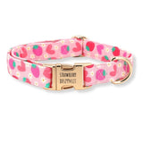 Strawberry Shortcake Signature Band™ + Slide-On Dappertie™ + Joyline™