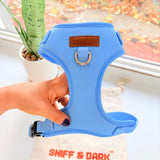 Baby Blue Dappertie™ - Mega Bundle Match (D Ring)