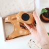 A hand holding a dog harness with a sun-themed design, placed inside an open box.