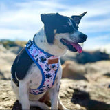 Ink Ivy Bloom AllSet™ Harness – Adjustable Bliss (D Ring)