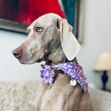 Purple Daisy Signature Bloomtie™ - Flower Tie