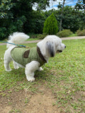 A white dog wearing a green vest is standing on a grassy area, with trees and bushes in the background.