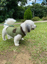 A white dog wearing a green vest is standing on a grassy area, with trees and bushes in the background.