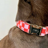 Checker Pink Signature Band™ - Crafted Collar