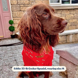 Coral Fetch AllSet™ Harness – Adjustable Bliss (D Ring)