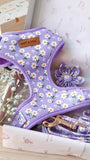 Purple Daisy Signature Bloomtie™ - Mega Bundle
