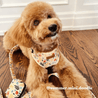 A fluffy golden retriever dog wearing a floral bandana and sitting on a wooden floor.