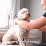 Garent Plaid AllSet™ Harness Matching Bundle (D Ring)