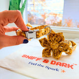 Sunny Daisy Signature Band™ + Slide-On Bloomtie™