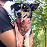 Maple Plaid Bow Dappertie™ - Mega Bundle Match (D Ring)