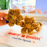 Sunny Daisy Signature Band™ + Slide-On Bloomtie™