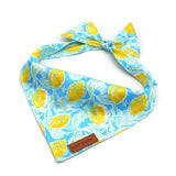 Sunny Lemons Flairtie™ Bandana – 100% Cotton