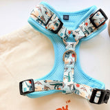 Mint Snappy Dino AllSet™ Harness Matching Bundle (D Ring)