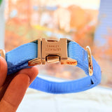 Baby Blue Signature Band™ - Crafted Collar