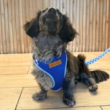 Checker Blue AllSet™ Harness – Adjustable Bliss