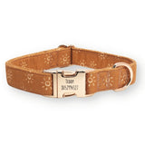 Ambar Suns Signature Band™ - Crafted Collar