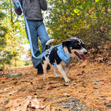 Baby Blue Dappertie™ - Mega Bundle Match (D Ring)