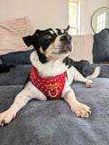 Red Polka Dot AllSet™ Harness – Adjustable Bliss (D Ring)